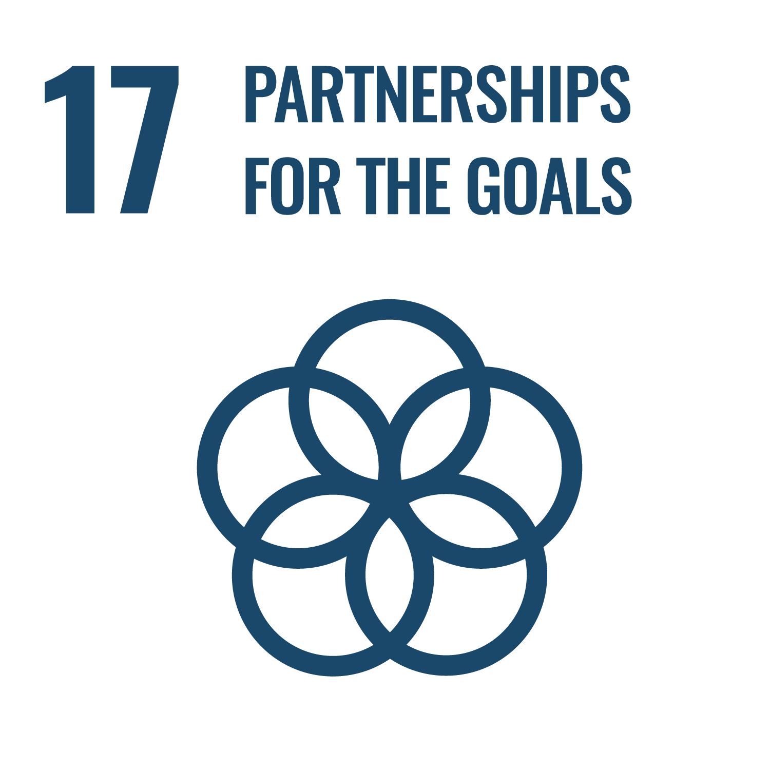 SDG 17 — Partnerships for the Goals