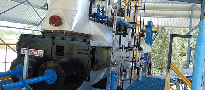 Thermax successfully commissioned a biomass boiler for an FMCG major in India