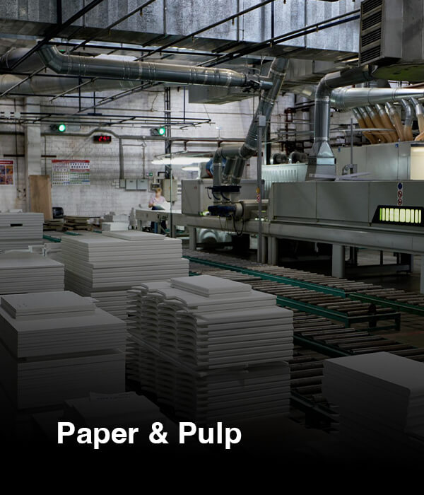 Paper-Pulp-IMg01-10