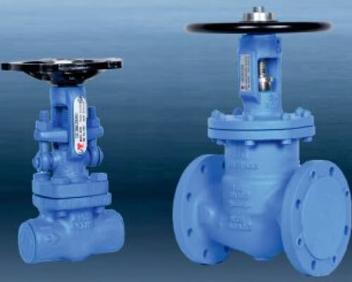 bellow-seal-valve